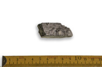 F 23629
<br/>
<br/>
<em></em>